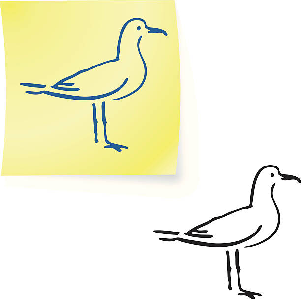 seagull  on post it notes vector art illustration