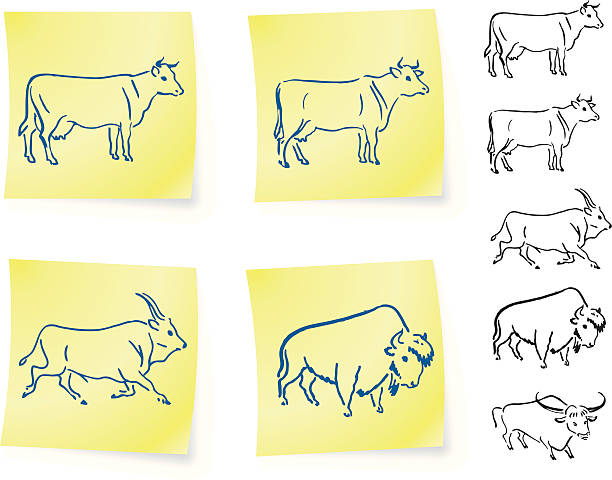 ilustrações, clipart, desenhos animados e ícones de vaca buffalo e bison no post-it notes - adhesive note note pad message pad yellow