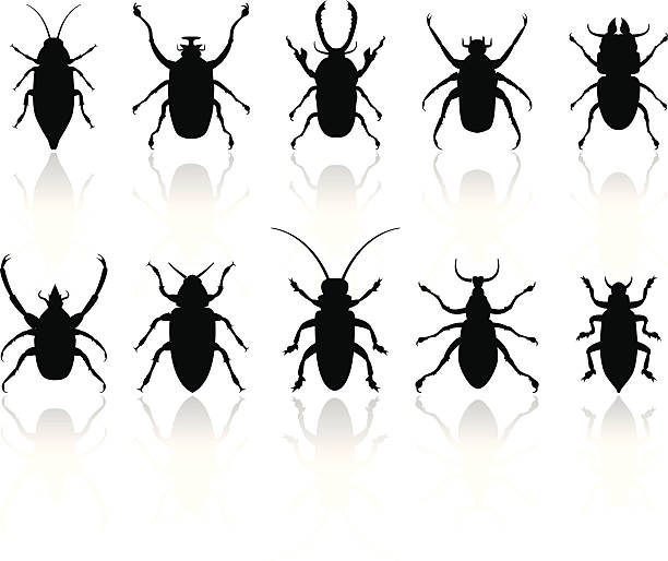 Insects silhouettes set  longhorn beetle stock illustrations