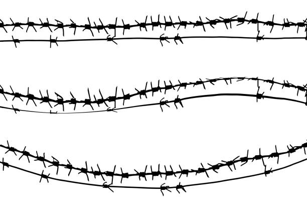 istock Black barbed wire vector metal fence illustration isolated on white background. Graphic military object 1039957350