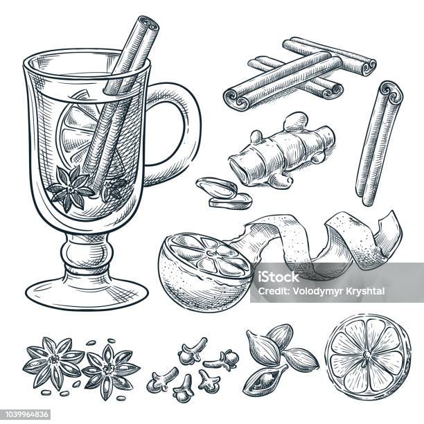 Mulled Wine Recipe Vector Sketch Illustration Set Of Isolated Hand Drawn Spices Ingredients Stock Illustration - Download Image Now