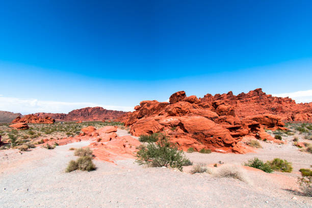 istock Valley of Fire - Nevada Red Desert Landscape 1039965966