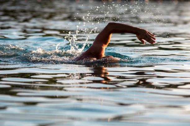 istock Silhouette of Swimmer Hand in water 1039969926