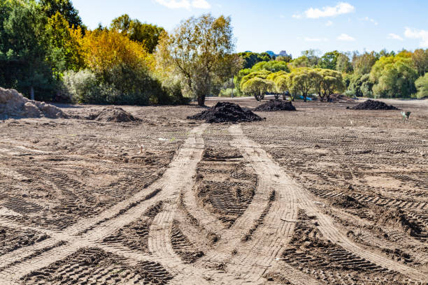 construction of new lawn in urban park - stockyards industrial park imagens e fotografias de stock