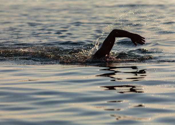 istock Silhouette of Swimmer Hand in water 1039971948