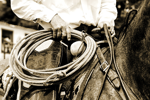 Close-up of an authentic working cowboy riding and preparing to use his rope during the course of his job - sepia tint added for vintage look and feel.