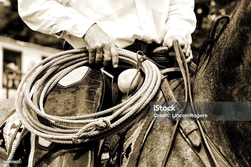 Working Cowboy Riding with Rope - Sepia Tint Close-up of an authentic working cowboy riding and preparing to use his rope during the course of his job - sepia tint added for vintage look and feel. Cowboy Stock Photo
