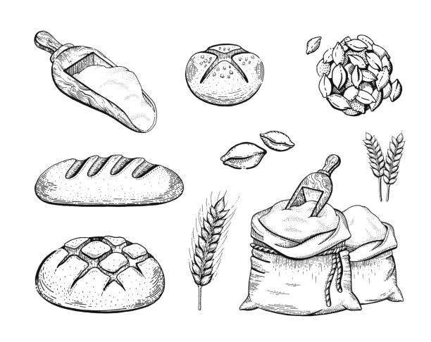 ilustrações, clipart, desenhos animados e ícones de ilustração em vetor de mão desenhar saco de farinha conjunto de padaria, pão, orelha do trigo, conceito esboçado. tinta preta linha artística desenho isolado no fundo branco. gráfico de alimentos orgânicos. gravura de ícones vintage retrô - bread white background isolated loaf of bread