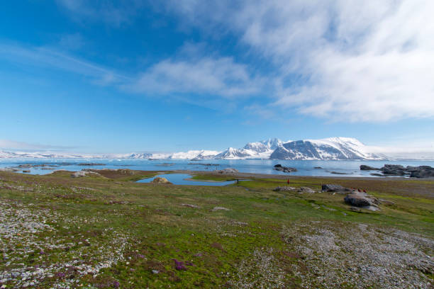 istock Arctic landscapes with ice, sea, icebergs and mountains 1039978768