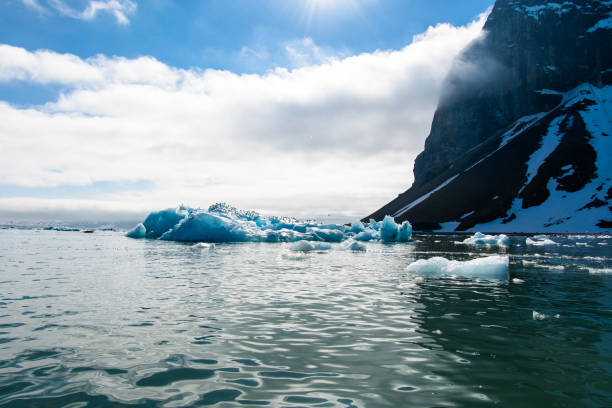 istock Arctic landscapes with ice, sea, icebergs and mountains 1039979098