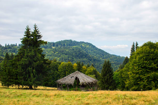 istock Old log cabin in the forest 1039981478