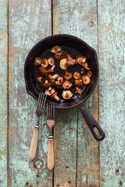 Edible forest mushrooms. Fried Slippery Jack mushrooms (Suillus luteus) in cast iron pan on old blue boards copyspace