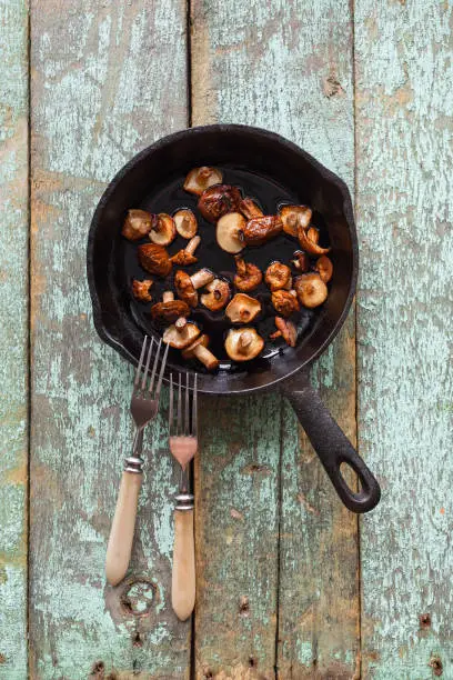 Edible forest mushrooms. Fried Slippery Jack mushrooms (Suillus luteus) in cast iron pan on old blue boards copyspace top view