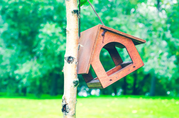 bird feeder on a tree in autumn park on the background of the pond