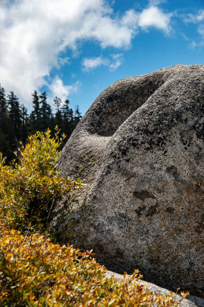 istock A rock and shrub against a blue sky with clouds 1039999160