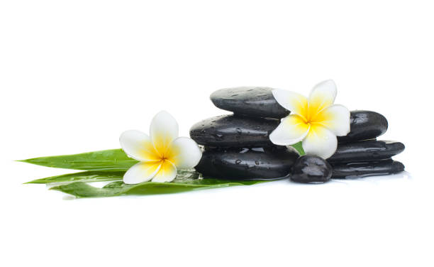 istock tropical flowers and black stones ready for healthy therapy 1039999162