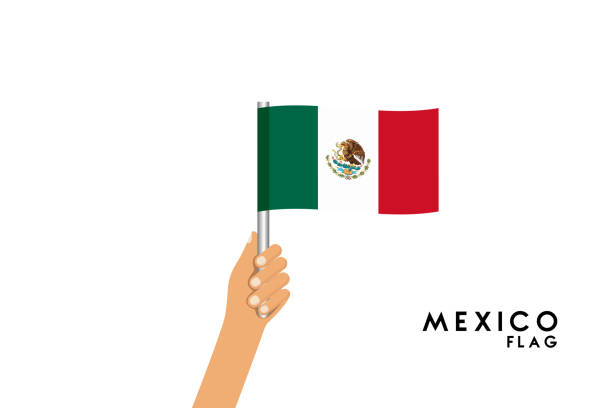 векторная карикатурная иллюстрация человеческих рук держит флаг мексики. изолированный объект на белом фоне. - latin america mexican flag mexico mexican culture stock illustrations