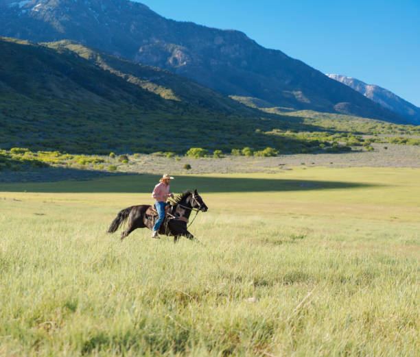 istock Cowboy Horseback Riding 1040018134