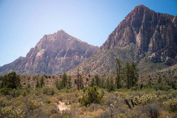 istock Red Rock Canyon - Las Vegas 1040018180