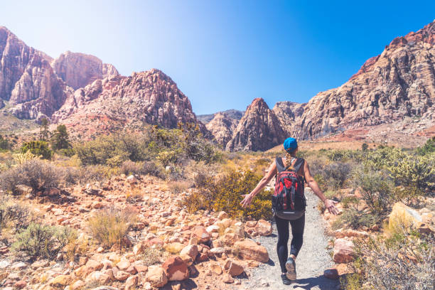 istock Hiking in the Nevada desert 1040018394