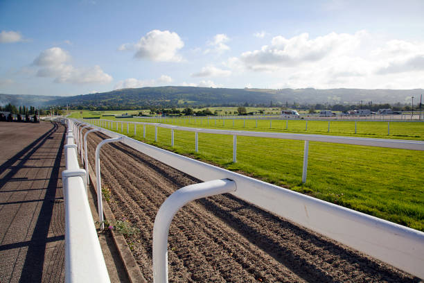 hippodrome de cheltenham - flat racing photos et images de collection