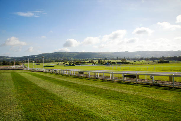 cheltenham racecourse - flat racing imagens e fotografias de stock