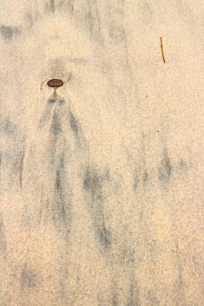padrões de lodo preto na areia da praia parecendo alienígena, impermanente pessoa anjo - silt sand textured black sand - fotografias e filmes do acervo