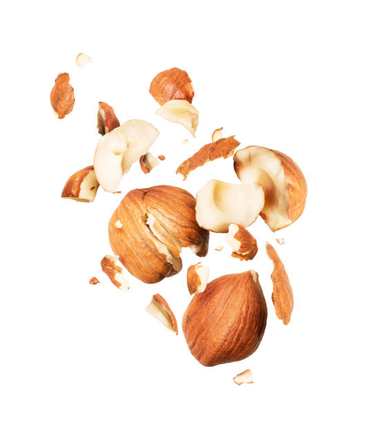 istock Hazelnuts crushed in the air, isolated on white background 1040037078