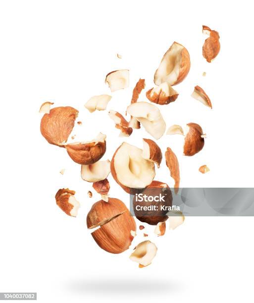 Hazelnuts Crushed Into Pieces Frozen In The Air On A White Background Stock Photo - Download Image Now