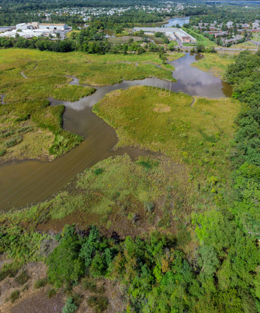 istock Aerial top view over going through forest. Beautiful garden or park with trees 1040042010