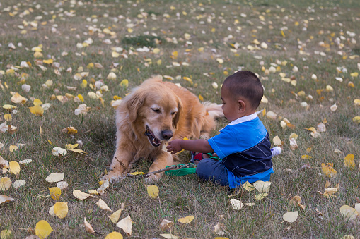 A boy and a golden retriever are good friends