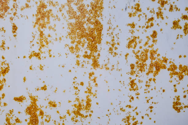 istock Rust on metal sheet, Grungy background 1040042282