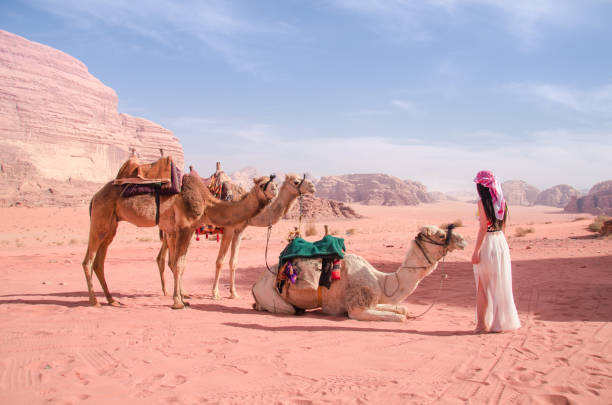 верблюды и девочка - wadi rum стоковые фото и изображения