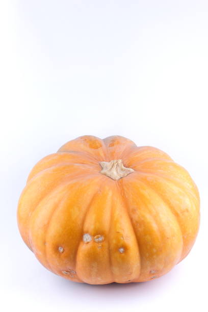 kürbis auf weißem hintergrund. isolierte kürbis. orange gemüse hautnah. gesunde ernährung. halloween - photography close up side view halloween stock-fotos und bilder