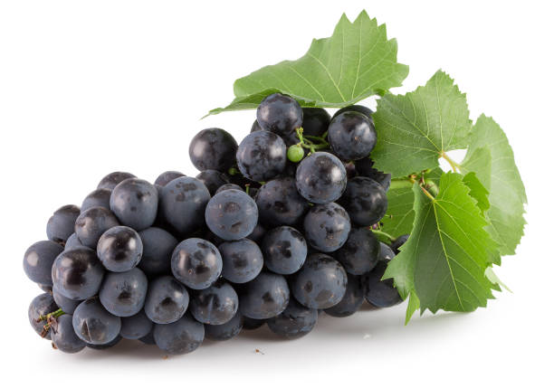 istock purple grapes isolated on a white background 1040057844
