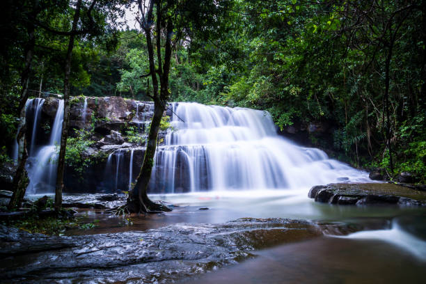 istock Pang Sida waterfall during rainy season. The beautiful waterfall in deep forest at Pang Si Da National Park, Srakaew Thailand 1040068822