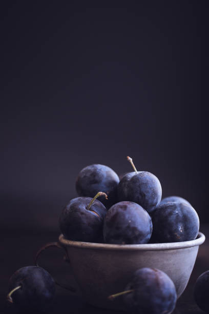 Fresh Damson Plums In An Antique Tin Cup stock photo