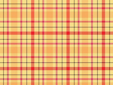 Striped and plaid colorful fabric pattern. Plaid background pattern texture