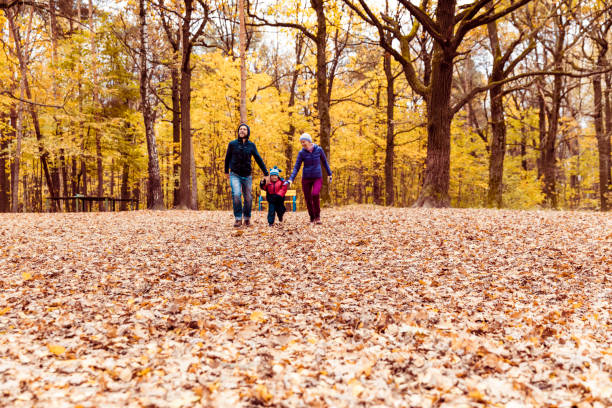 istock Family in the park 1040087050