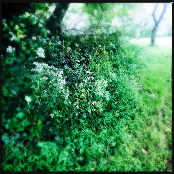 istock Landscape by the Side of the Road 1040093130