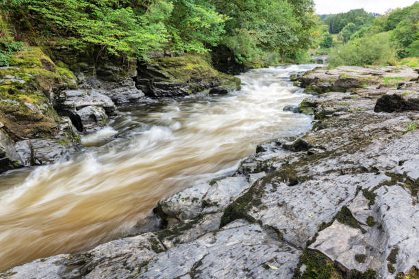 川 dee、スランゴスレン、デンビシャー、ウェールズ - dee river river denbighshire wales ストックフォトと画像