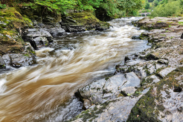 川 dee ラピッズ、スランゴスレン、ウェールズ - dee river river denbighshire wales ストックフォトと画像