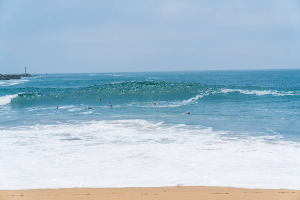 istock The Wedge in Newport Beach 1040106066
