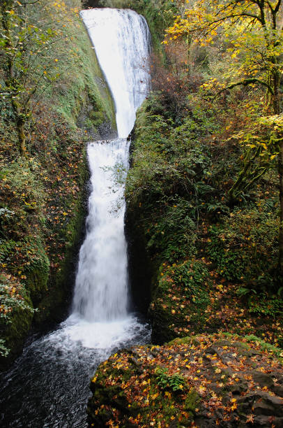 istock Bridal Veil Falls 1040124354