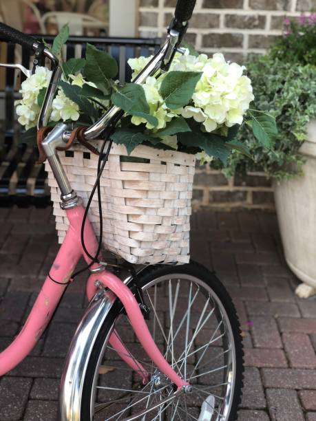 istock Bike with Flowers 1040141892