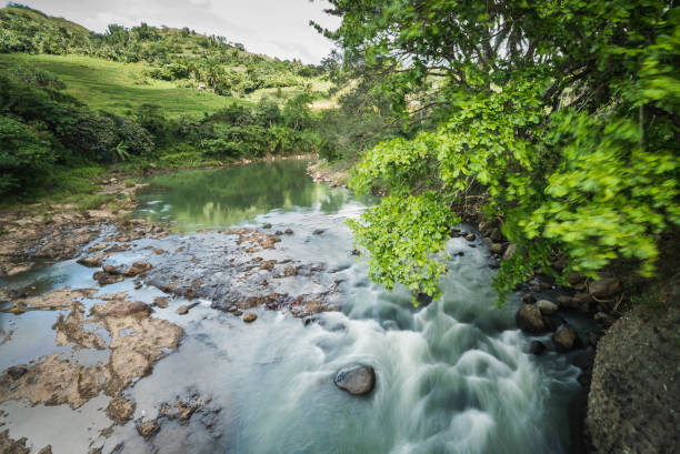 Pulled over to grab this shot of the river. It wasn't the most ideal situation but I think I was able to get a good capture of the flowing water and the swaying branches.