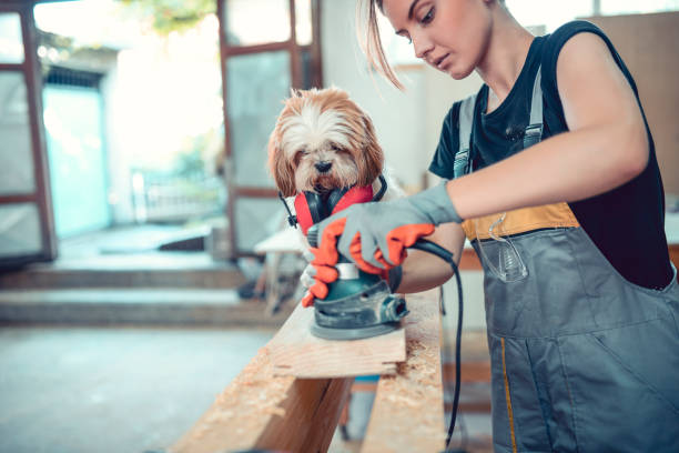 istock Female Sanding Plank While Cute Puppy Assists 1040148050