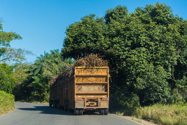 Truck, Sugar - Food, Delivering, Driving, Freight Transportation