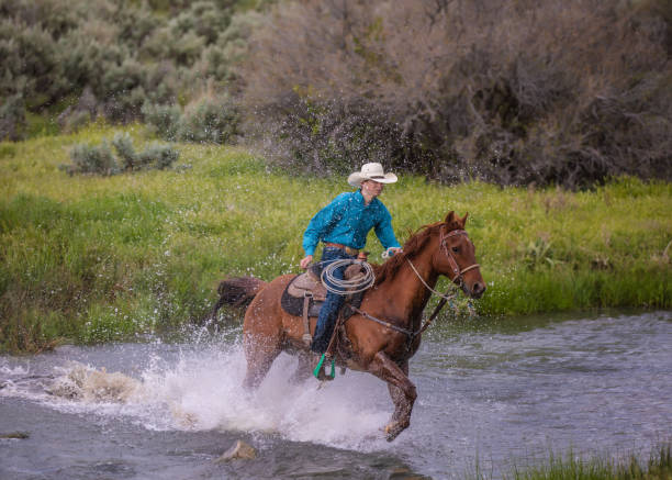istock Cowboy Riding Across a Stream Utah, USA 1040179804