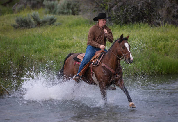 istock Cowboy Riding Across a Stream Utah, USA 1040179882